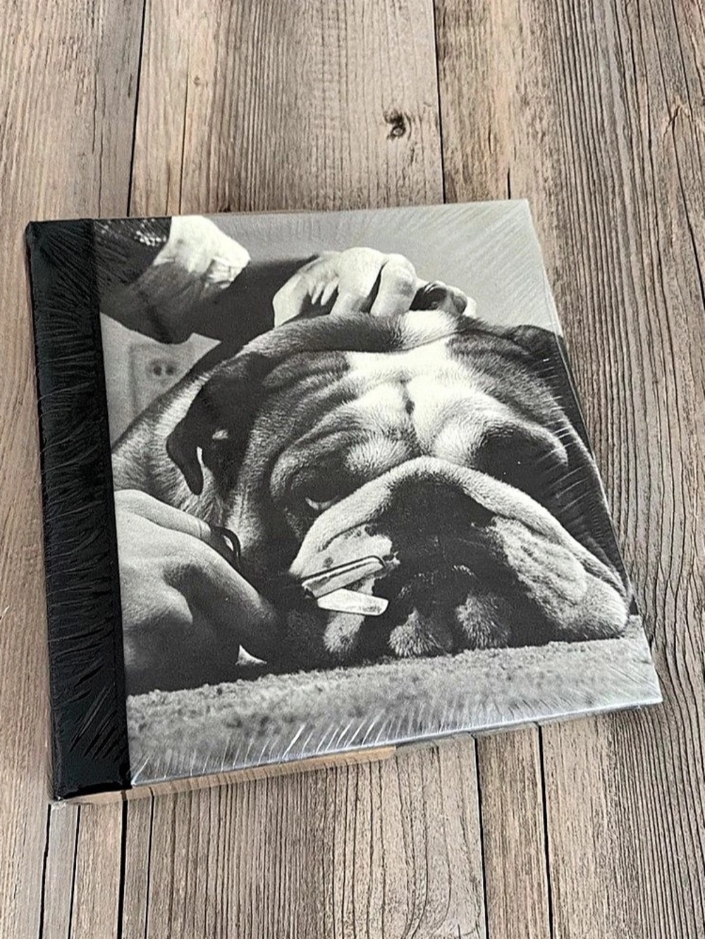 Vintage English Bulldog Cover Dog Photo Album Time Life 2005 Target NWT